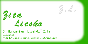 zita licsko business card